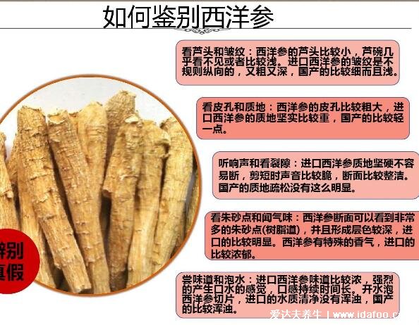 西洋参的功效与作用适合哪些人，注意西洋参的五类禁忌人群