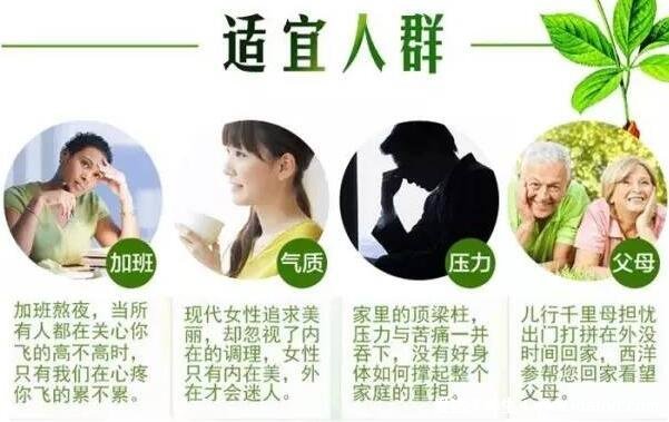 西洋参的功效与作用适合哪些人，注意西洋参的五类禁忌人群