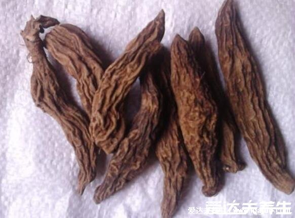 玄参图片大全高清图片,为常用中药且本草纲目就有记载(可清热解毒)