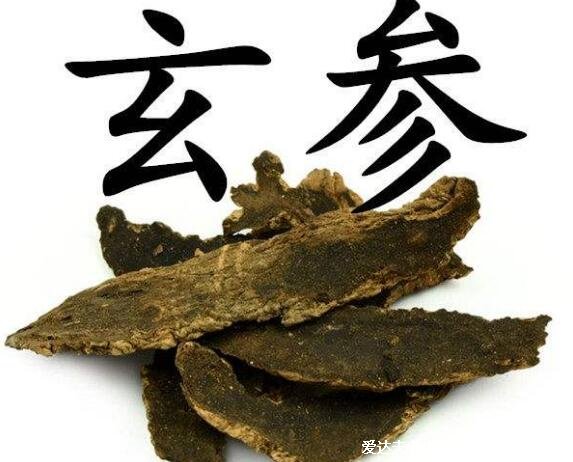 玄参图片大全高清图片,为常用中药且本草纲目就有记载(可清热解毒)