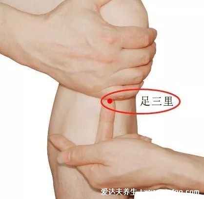 穴位足三里的准确位置图片,在膝盖凹陷下方(四个手指距离)