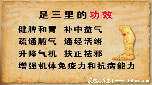 穴位足三里的准确位置图片,在膝盖凹陷下方(四个手指距离)