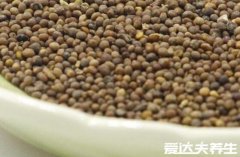 盐菟丝子的功效与作用及禁忌，对女人的好