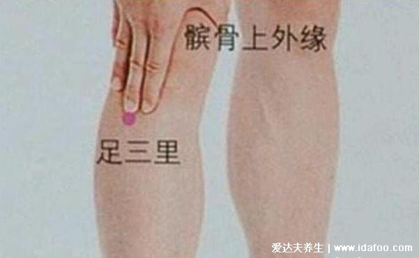 找足三里最笨的方法图片,握一下膝盖就能找到准确位置