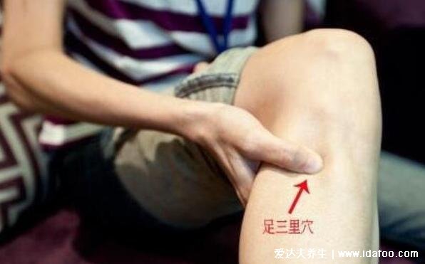 找足三里最笨的方法图片,握一下膝盖就能找到准确位置