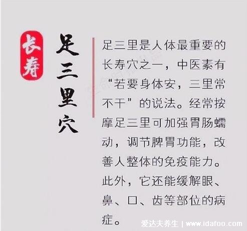 找足三里最笨的方法图片,握一下膝盖就能找到准确位置