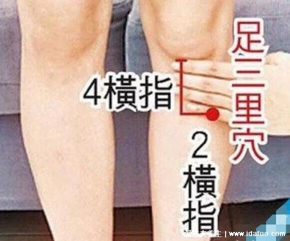 找足三里最笨的方法图片,握一下膝盖就能找到准确位置