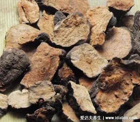 真实的何首乌图片大全,心型叶片而且根很大(男人可补肝补肾)