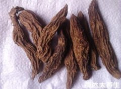中药玄参的功效与作用,清热凉血抗菌消炎