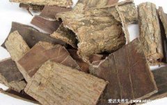壮阳最快最猛的中药,分享6种适合长期喝的
