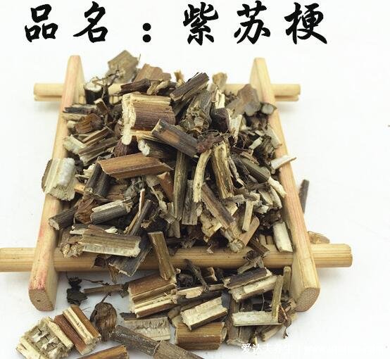 紫苏图片大全,紫苏的功效与作用禁忌(可发汗解热)