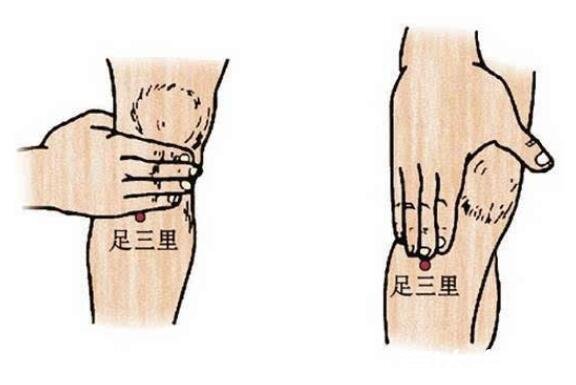 足三里的准确位置图片,握一下膝盖就能精准找到穴位
