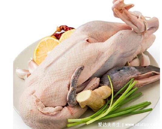 白肉是什么肉是羊肉还是鸭肉，白肉不易造成三高/鸭肉属于白肉