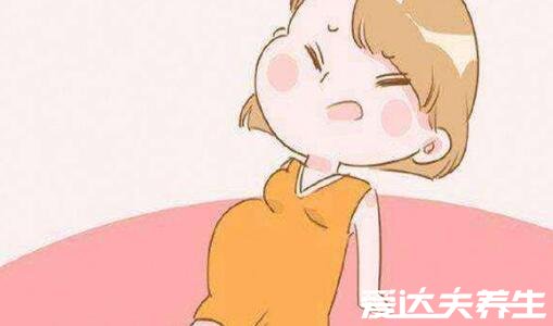 陈皮的功效与作用禁忌,止咳化痰/美容养颜/治消化不良/保护心血管
