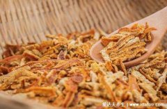 陈皮的功效陈皮泡水喝的十大功效,促进消