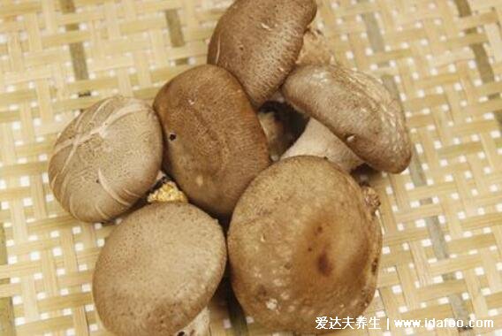 发物是指哪些食物,指营养但有刺激性的食物(如韭菜/荔枝)