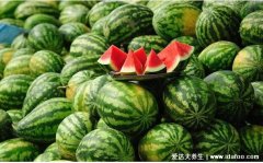 肺癌千万别吃三种水果，西瓜/哈密瓜/生木瓜