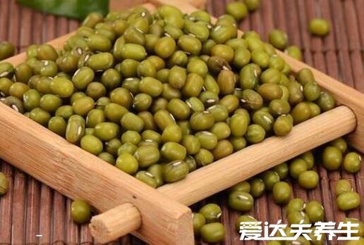 狗肉不能和什么一起吃,茶叶/大蒜/鲤鱼/绿豆反应严重可能导致死亡