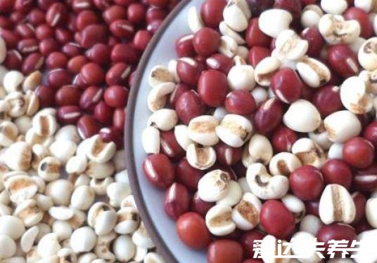 红豆薏米快速减肥法,红豆消肿/薏米排毒保证一周瘦十斤