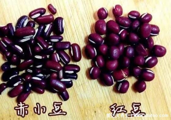 红豆与赤小豆的区别,红豆圆/赤小豆是长条(红豆薏米水用赤小豆)