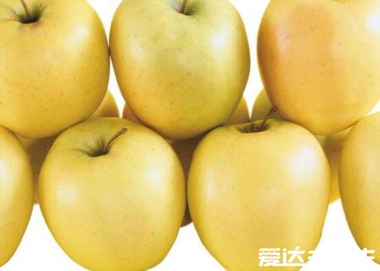 黄苹果是什么品种及与红苹果的区别，口感/外观/营养皆不相同