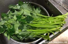 红薯叶哪三类人不能吃，肾病/腹泻/消化能力