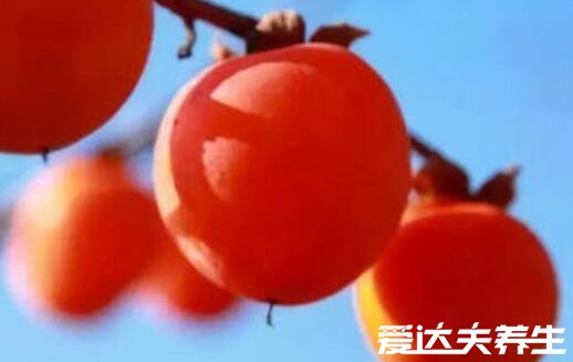 鸡蛋不能和什么一起吃,红糖/柿子/豆浆/茶/兔肉皆不可同食