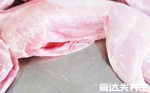 鸡蛋不能和什么一起吃,红糖/柿子/豆浆/茶/兔肉皆不可同食