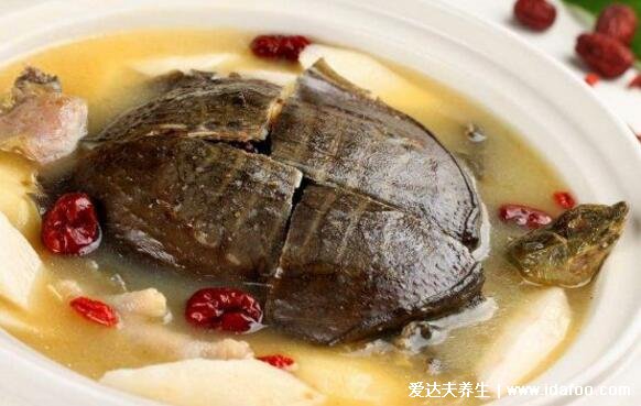 甲鱼汤怎么炖补肾效果好,4种做法滋阴养血/美容养颜最适合女性