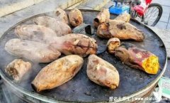 烤地瓜热量高吗会发胖吗，99大卡/100克烤红