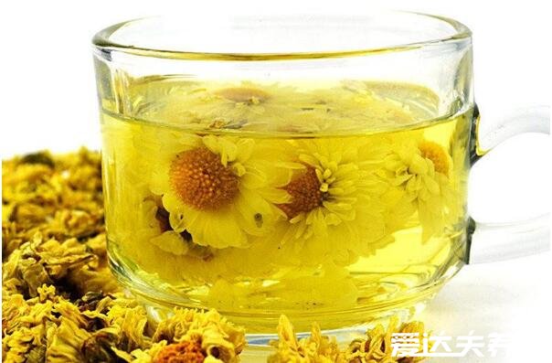 菊花茶的功效与作用,保护眼睛/延缓衰老/防辐射/治疗便秘/清热去火