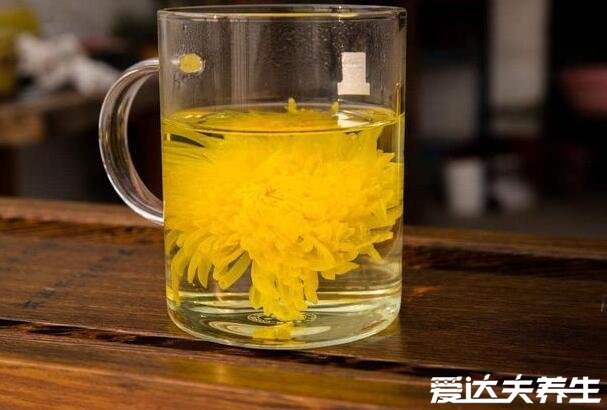 菊花茶的功效与作用,保护眼睛/延缓衰老/防辐射/治疗便秘/清热去火