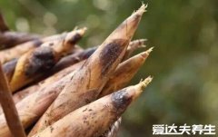六种人不宜多吃竹笋,过敏/未成年/胃病患者