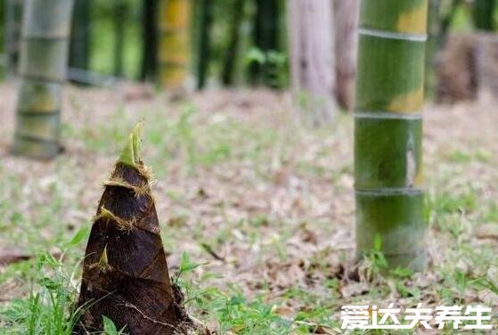 六种人不宜多吃竹笋,过敏/未成年/胃病患者等禁食(竹笋禁忌)