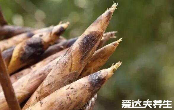 六种人不宜多吃竹笋,过敏/未成年/胃病患者等禁食(竹笋禁忌)