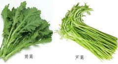 芦蒿和茼蒿的区别图片，芦蒿一般不吃叶子