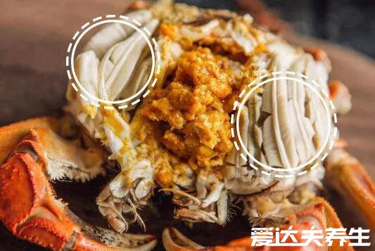 螃蟹哪里不能吃高清图,大闸蟹的肠/鳃/心/胃很脏有寄生虫