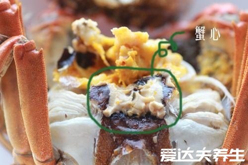 螃蟹哪里不能吃高清图,大闸蟹的肠/鳃/心/胃很脏有寄生虫