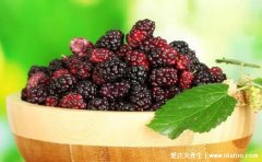 女人必吃的暖宫水果有哪些,桑葚/桂圆/红枣