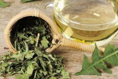 蒲公英哪四种人不能喝，怀孕/胃寒/过敏/低