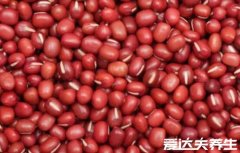 让人越吃越瘦的10种杂粮，红豆/燕麦/薏米既