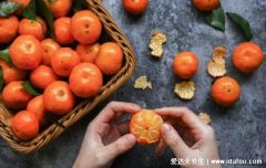 砂糖橘吃多了会咋样,上火/皮肤变黄/腹痛腹