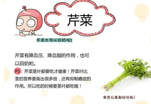 容易回奶的食物列表,哺乳期要注意回奶食物有哪些(花椒/芹菜在其中)