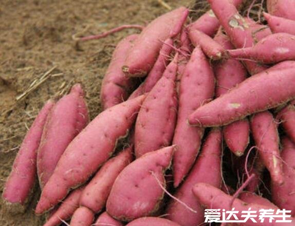 山芋是什么，山芋的功效与作用图片(实际就是番薯/红薯)