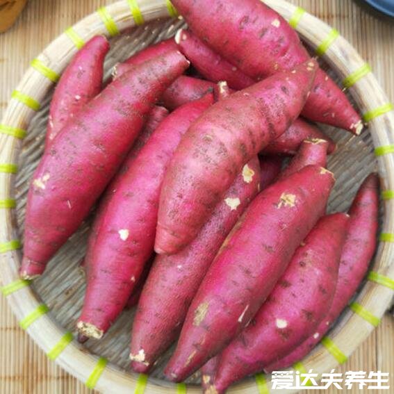 山芋是什么，山芋的功效与作用图片(实际就是番薯/红薯)