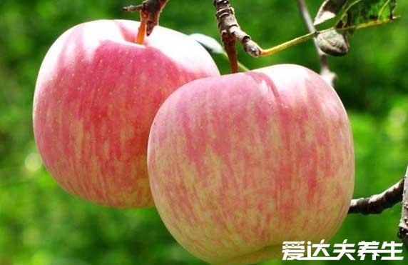 蛇果和苹果的区别,蛇果品种更优/价格更高/功效超多(图片)