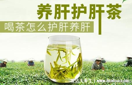 适合长期喝的养肝茶,玫瑰花/茉莉花茶等5种茶(茉莉花茶6种人不要喝)