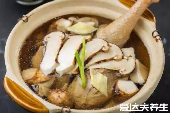 松茸菌的功效与作用及食用方法,煲汤/煎炒有预防三高抗衰老等功效