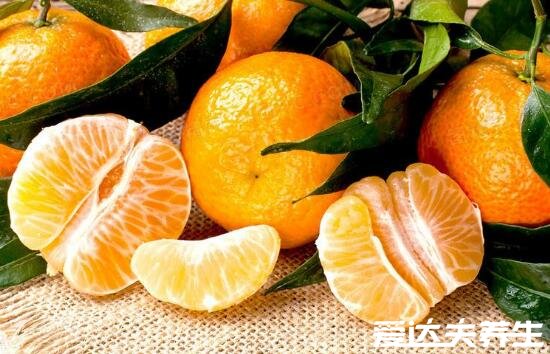 兔肉不能和什么一起吃,鸡蛋/胡萝卜/橘子/鸡肉/生姜/止血药