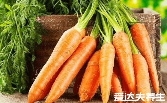 兔肉不能和什么一起吃,鸡蛋/胡萝卜/橘子/鸡肉/生姜/止血药